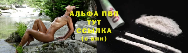 твердый Алексин