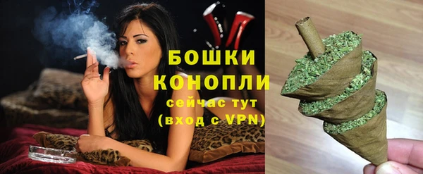 ПСИЛОЦИБИНОВЫЕ ГРИБЫ Покров