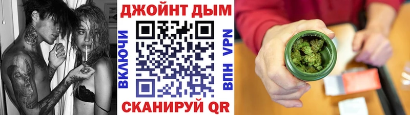 Бошки Шишки планчик Инта